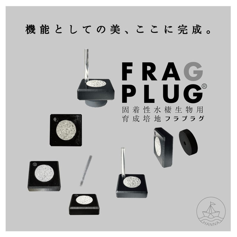 特典付き]新しいDR.REEF「up-CS1 水質改善剤」海水専用 for 10t | HANNA