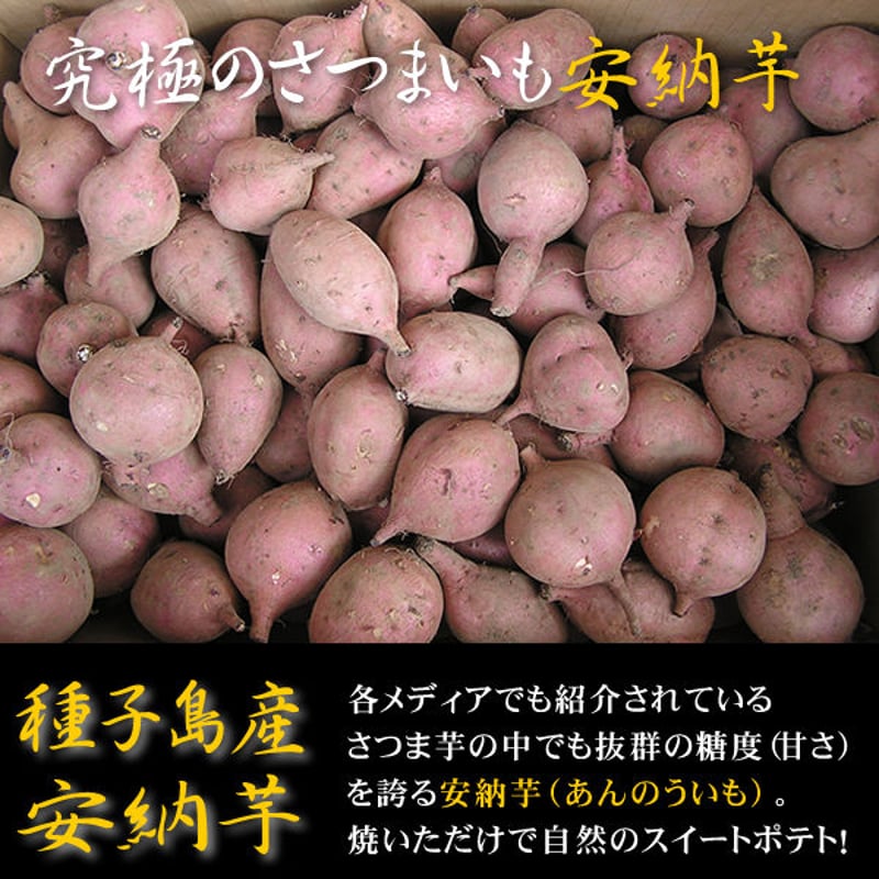 農家直送～安納芋種子島産、こがね、甘くてしっとり～さつまいも 完熟w-