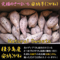 送料無料！！無農薬・種子島産安納芋SSサイズ5kg 無化学肥料栽培