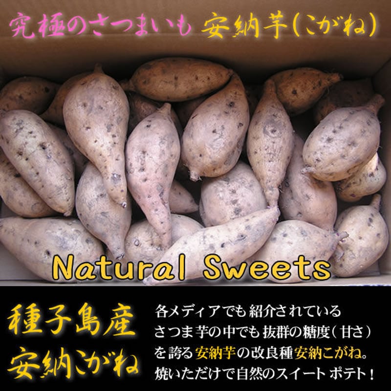 キャラメル芋 種子島産安納芋こがねSサイズ5kg 農薬不使用 | matahari