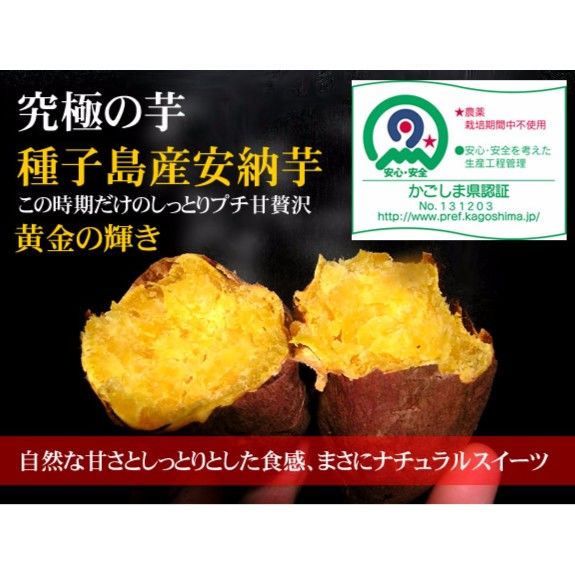 送料無料！！無農薬・種子島産安納芋SSサイズ5kg 無化学肥料栽培