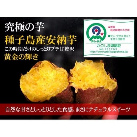 送料無料！！無農薬・種子島産安納芋Sサイズ10kg　無化学肥料栽培