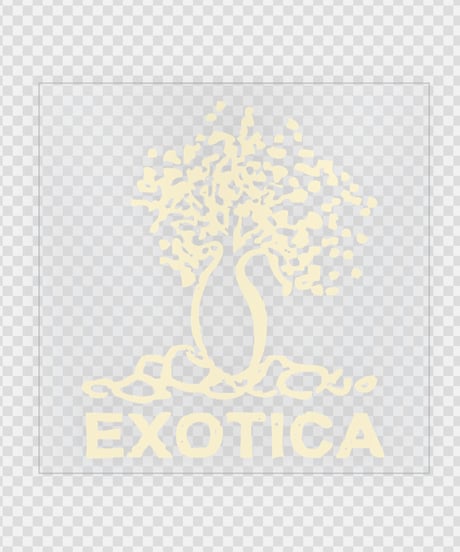 EXOTICA  転写ステッカー