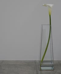 FLOWER VASE -L- 枝物・長物用花器 / W110×H350×D110