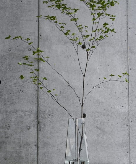 FLOWER VASE -L- 枝物・長物用花器 / W110×H350×D110