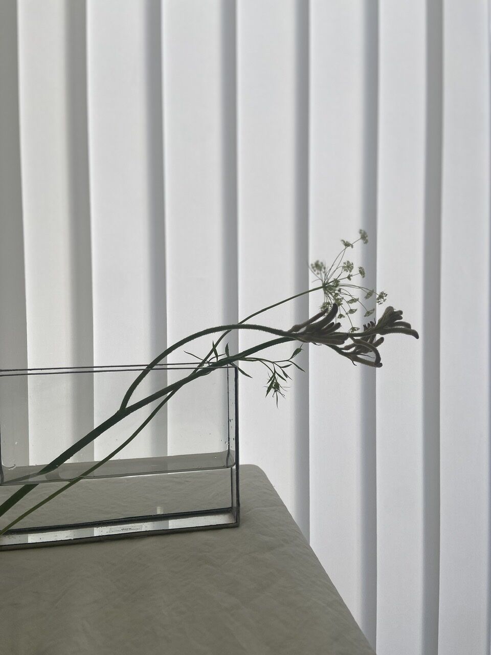 FLOWER VASE / W15.2cm / ガラス器・長方薄型 | doro ONLINE