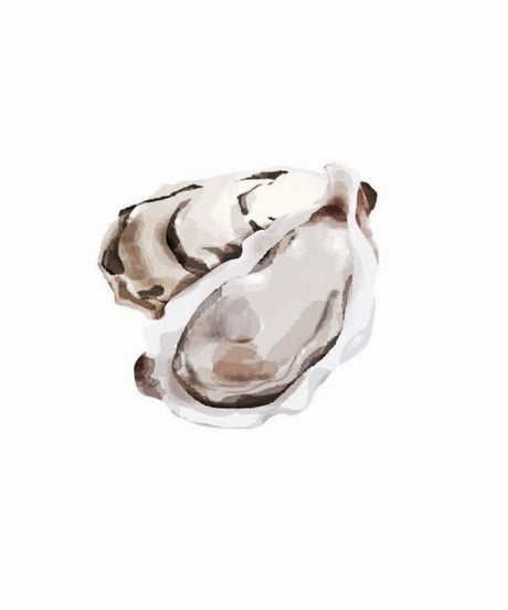 OYSTER EARRINGS / ピアス・イヤリング