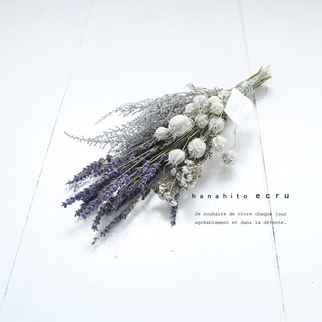 ラベンダー⋆︎*ユーカリスワッグ⑅︎１ Navigator Carry-On Wild Orchid | Shop ZÜCA Bags