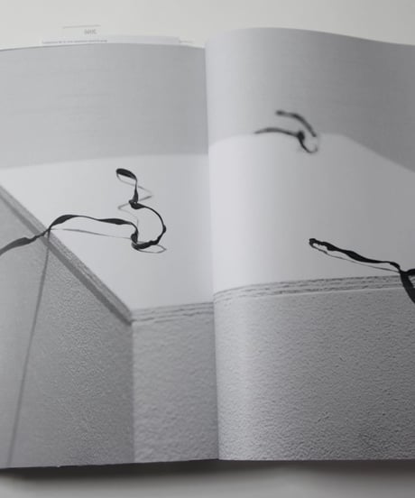 Composition No.1–10 and the derivatives, 2001–2016 second  edition│buku akiyama
