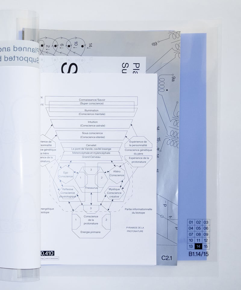 Syntactic Forest 岡崎真理子 RONDADE Syntactic Forest Fragments│mariko okazaki | Ron