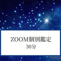 「Zoom個別鑑定」 30分