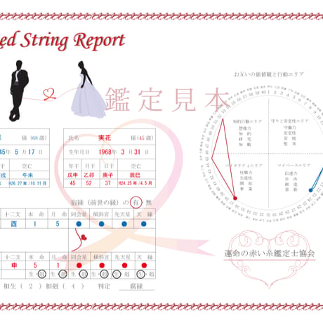 運命の赤い糸鑑定書