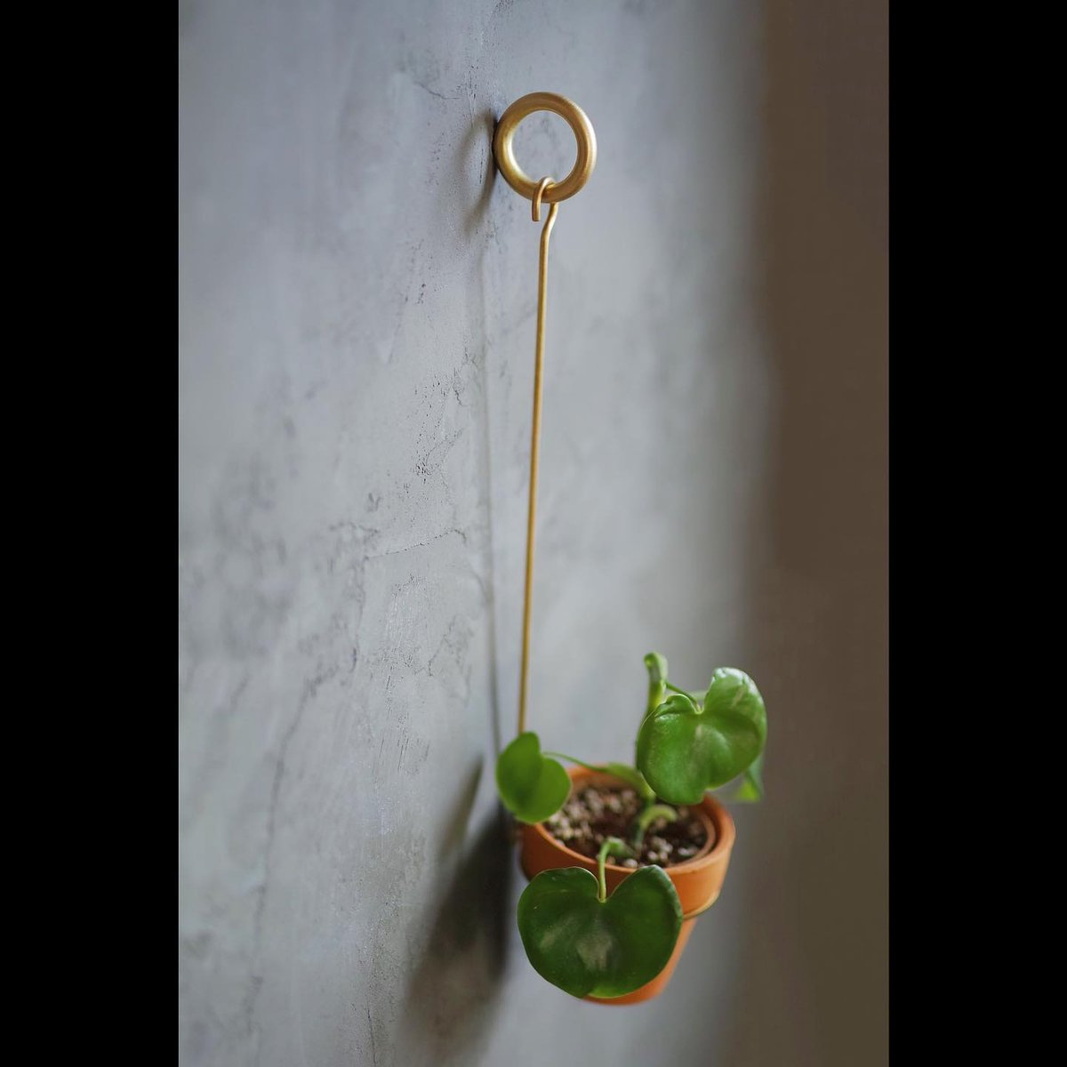 千葉工作所　Brass Hook & Brass Ring 計3個セット 千葉工作所