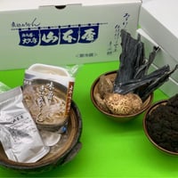 出汁の違いを楽しんで     きのこ香る味噌煮込みうどん＜4食セット＞