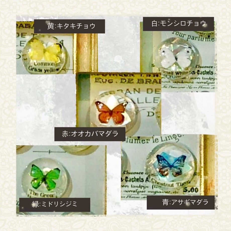 5f0945fd13a48b041f2aed9d