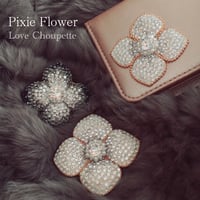 ピクシーフラワーオンラインレッスン