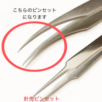 お勧めピンセット1本