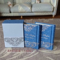 Den Lille Havfrue～人魚のひいさま・２巻セット～