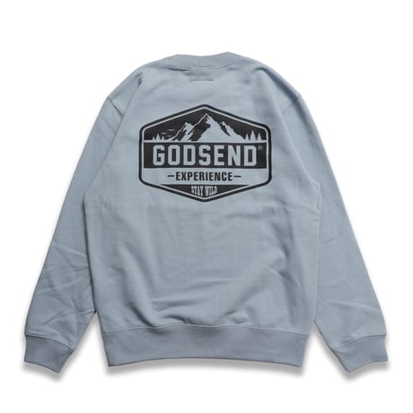 EXPERIENCE  C/N  SWEAT  SHIRT  ACID BLUE