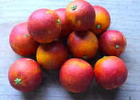 無農薬・無化学肥料のブラッドオレンジ【モロ】（3kg）