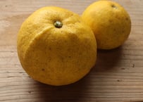 無農薬・無化学肥料のブンタン（7kg）