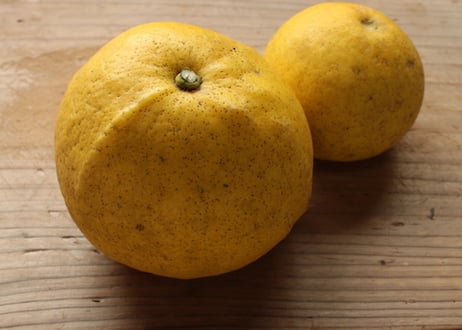 〈中玉〉無農薬・無化学肥料のブンタン（8kg）