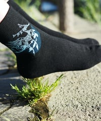 リーフィーシードラゴン ソックス（黒 black）23-27cm