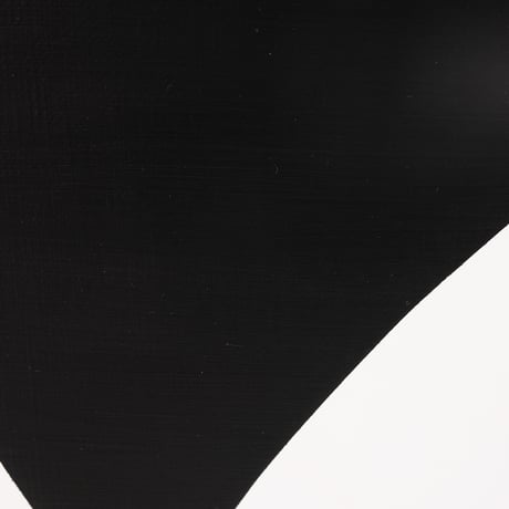 Choosing 260123 (Diptych)/ えらび 260123 (組作品)