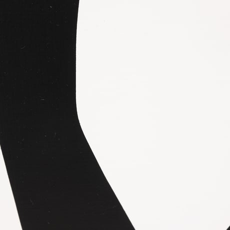 Choosing 260123 (Diptych)/ えらび 260123 (組作品)