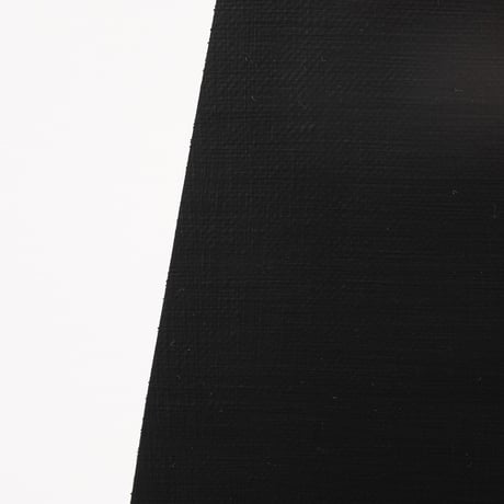 Choosing 260123 (Diptych)/ えらび 260123 (組作品)