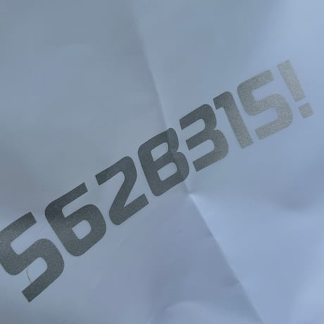 562B315!ポリエステルシューズ袋　ホワイト（送料込み）