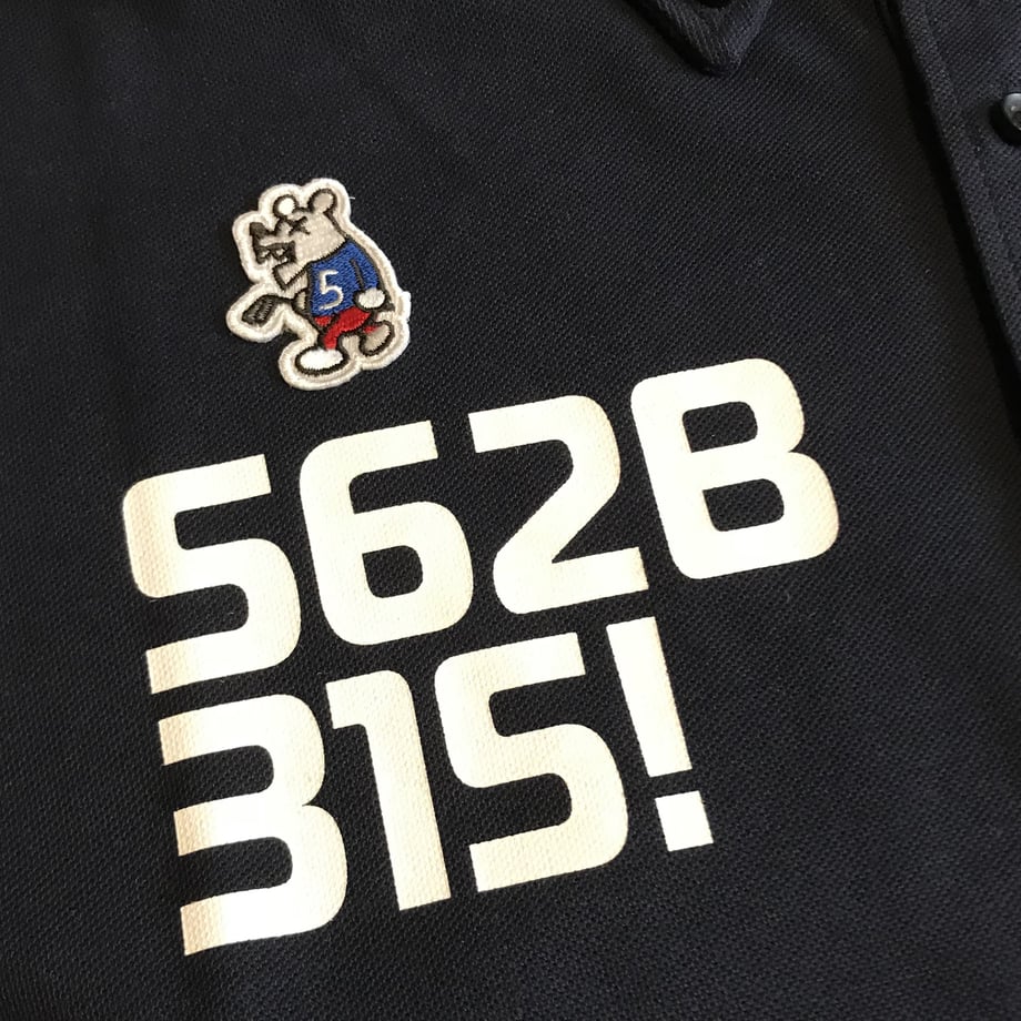 5b1f4950ef843f387e000341