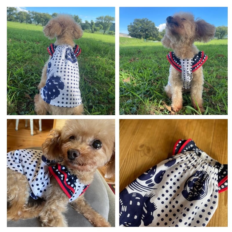ギャザースモック　犬服　ハンドメイド ギャザースモック S | *techichi*