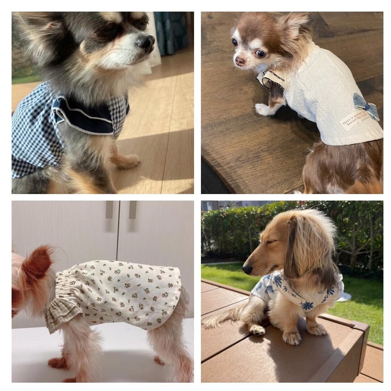 ギャザースモック　犬服　ハンドメイド ギャザースモック S | *techichi*