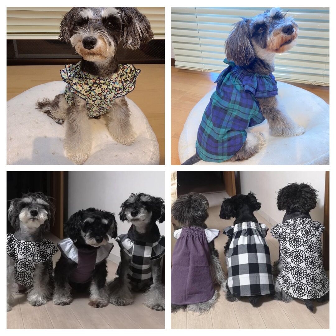 ギャザースモック　犬服　ハンドメイド ギャザースモック M | *techichi*