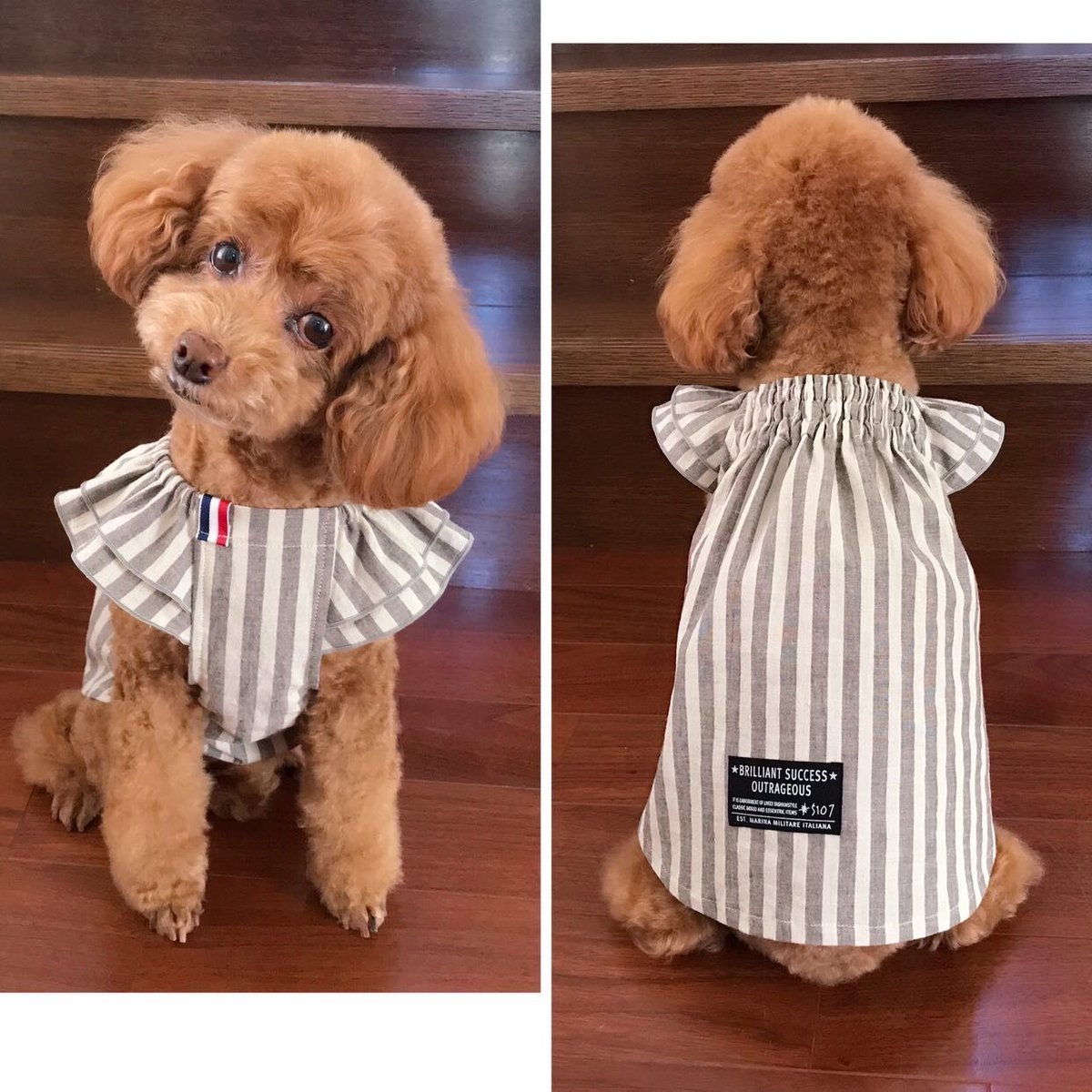 ギャザースモック　犬服　ハンドメイド fit=scale-down,w=1200