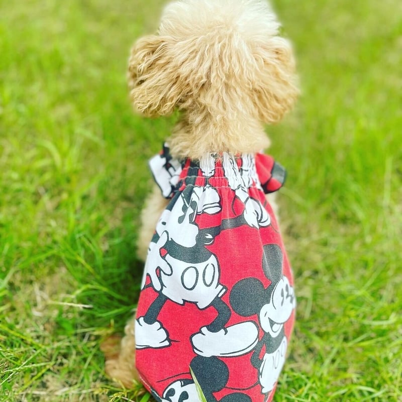 ギャザースモック　犬服　ハンドメイド fit=scale-down,w=1200
