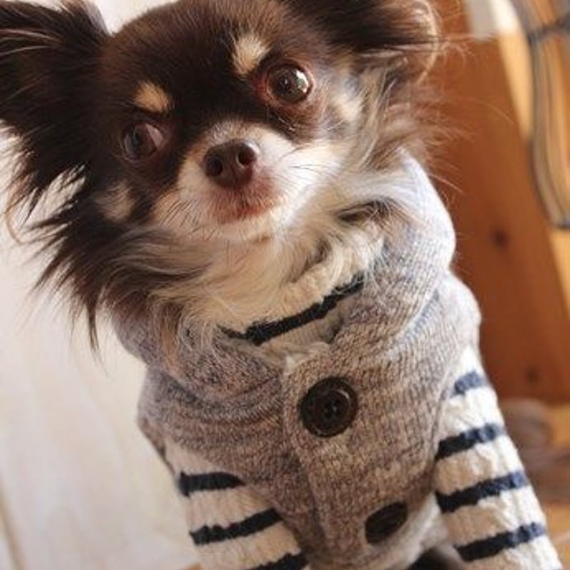 3wayベスト XSサイズ | *techichi*