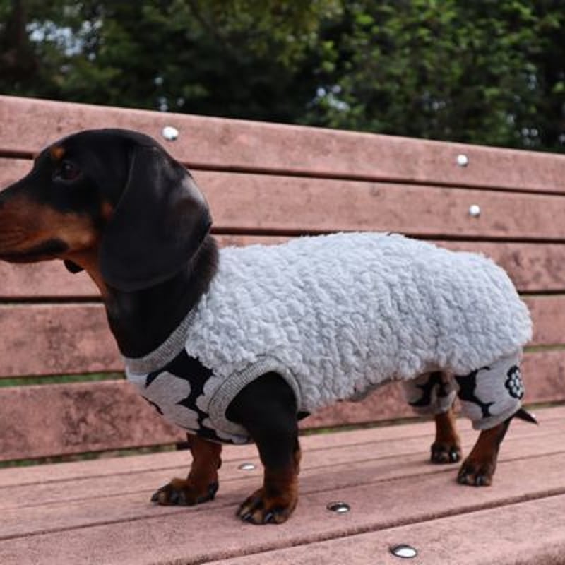 カバーオール DXSサイズ | *techichi*