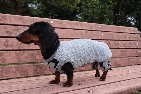 カバーオール DMSサイズ | *techichi*