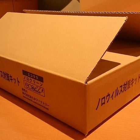 ノロウイルス感染を防ぐ使い切り嘔吐物処理キット「エコララノロクリーン」