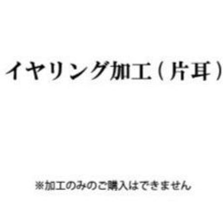 イヤリング加工(片耳)