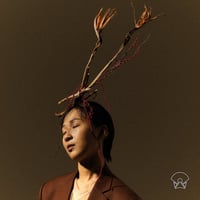 ( LP ) CHUDAHYE CHAGIS / UNDERNEATH THE DANGSAN TREE TONIGHT  < world / Korea >