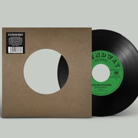 LP) THE VERNON SPRING / What's Going On -Limi