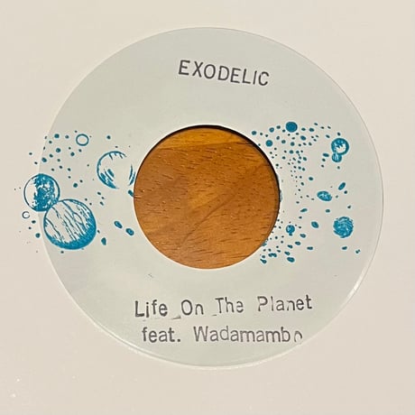 ( 7" ) EXODELIC / Kind a Little Stupid 　< rocksteady / JPN >