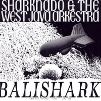 ( LP ) SHARKNADO & THE WEST JAVA ARKESTRA / BALISHARK  < ambient / experimental >