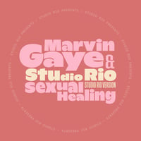 ( 7" ) Marvin Gaye & Studio Rio / Sexual Healing < soul / basil >