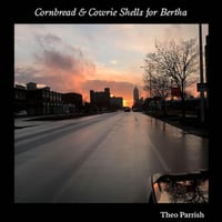 (2LP) Theo Parrish / Cornbread & Cowrie Shells for Bertha.  < HOUSE / SOUL>