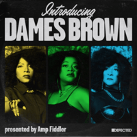 ( 7" ) Dames Brown / Introducing Dames Brown  < soul / Funk >