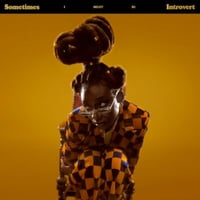 (2LP) Little Simz / Sometimes I Might Be Introvert <HIPHOP / RAP>